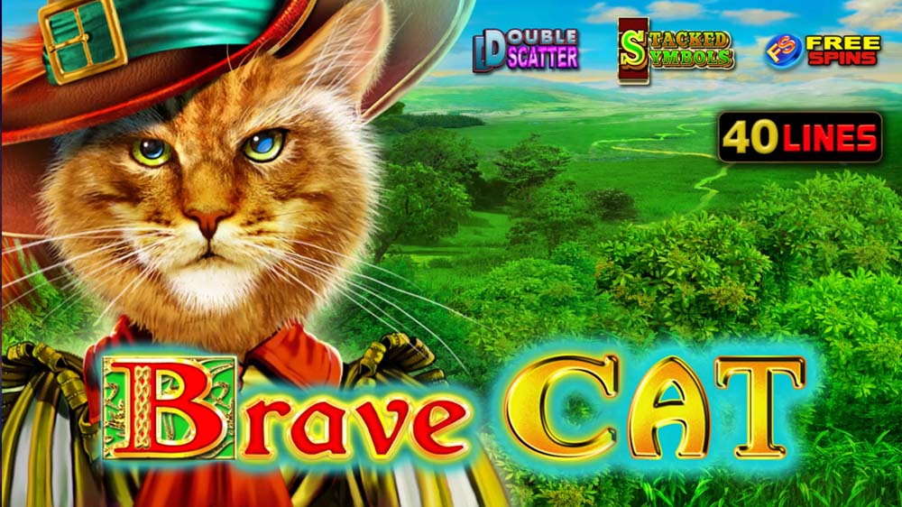 Brave Cat